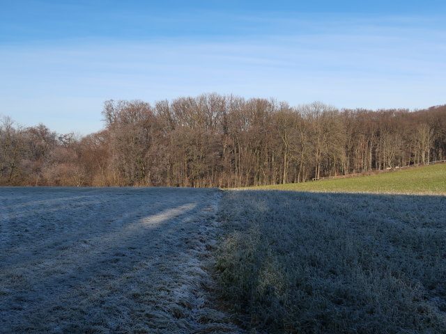 zwischen Maria Anzbach und Gschwendt