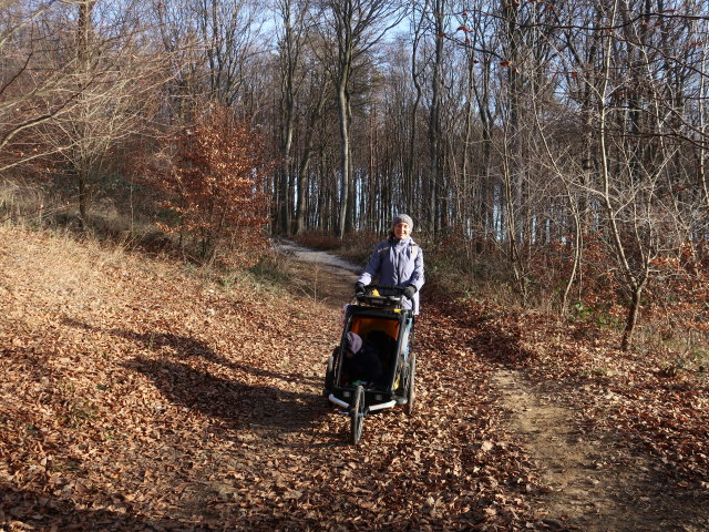 Nils und Sabine zwischen Buchberg und Almersberg