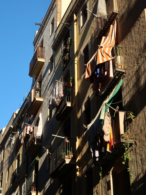 Carrer de Sant Ramon (7. Jän.)