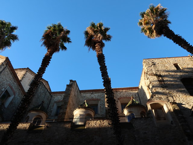 Parròquia de Sant Agustí (7. Jän.)