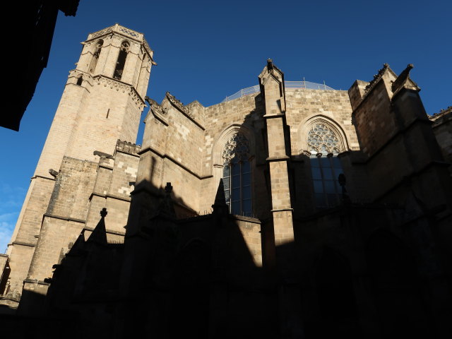 Catedral de Barcelona (7. Jän.)