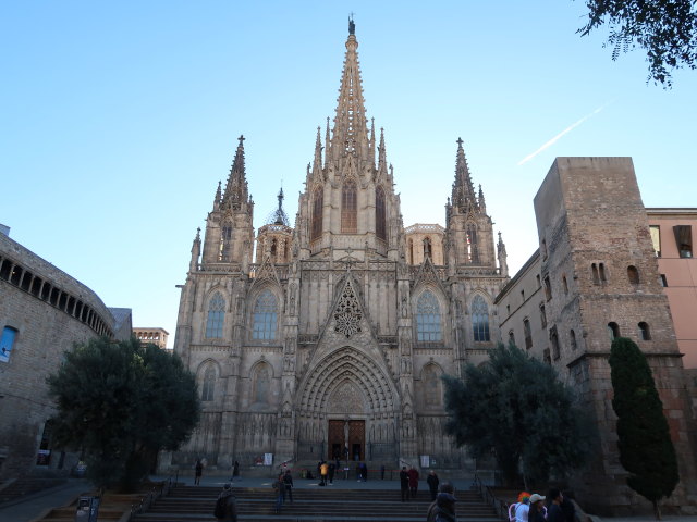 Catedral de Barcelona (7. Jän.)