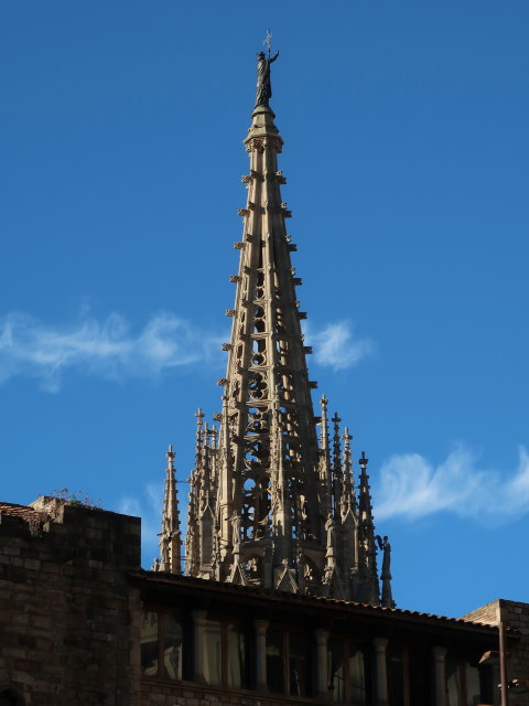Catedral de Barcelona (7. Jän.)