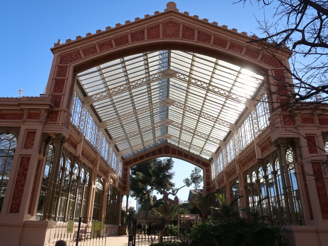 L'Hivernacle al Parc de la Ciutadella (7. Jän.)