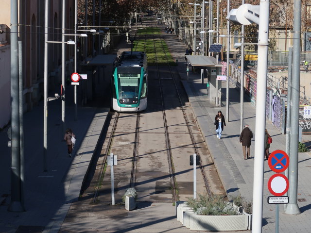 Trambesòs (7. Jän.)