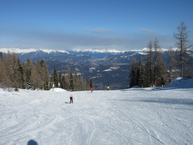 Tressdorfer Alm-Abfahrt
