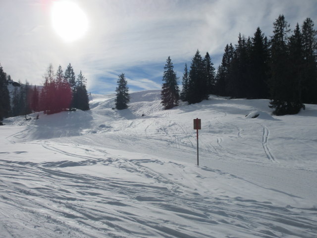 Märchenwald-Piste