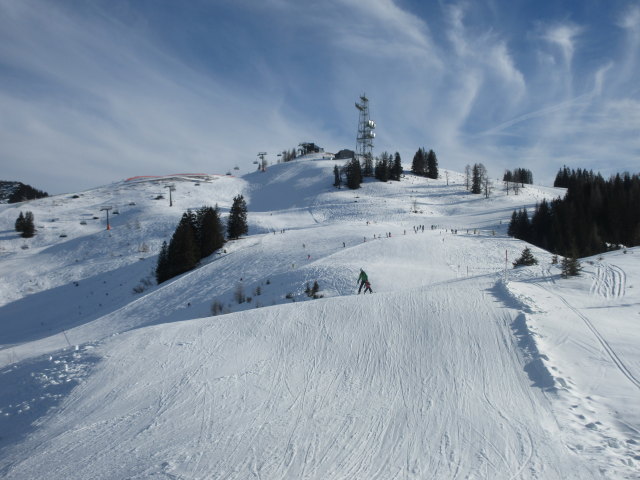 Schönbühel-Familienpiste