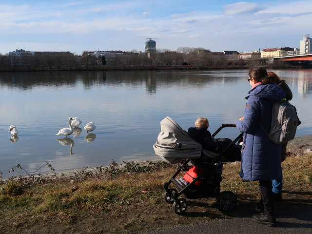 Nils, Sabine und Brigitte zwischen Brigittenauer Brücke und Reichsbrücke