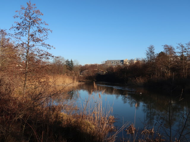 Marchfeldkanal zwischen Stammersdorf und Groß-Jedlersdorf
