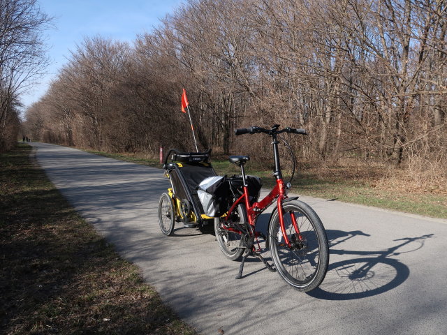 Donauinsel zwischen Reichsbrücke und Donaustadtbrücke