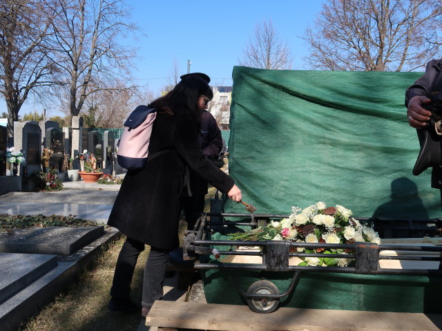 Ulrike am Stammersdorfer Zentralfriedhof