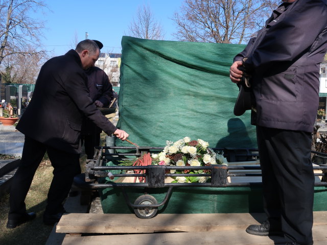 Werner am Stammersdorfer Zentralfriedhof
