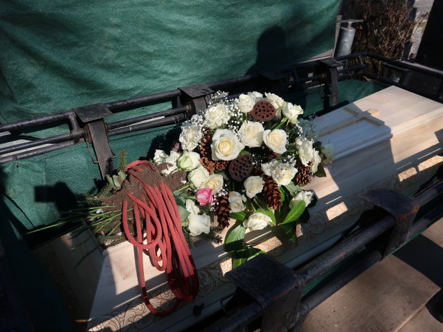 Stammersdorfer Zentralfriedhof