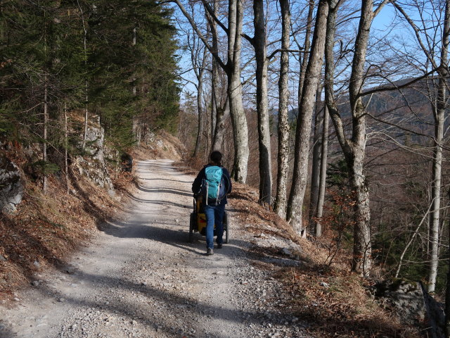 Sabine zwischen Öhler-Schutzhaus und Haltberghof