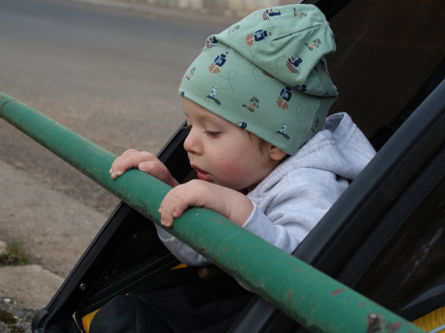 Nils in Puchberg am Schneeberg