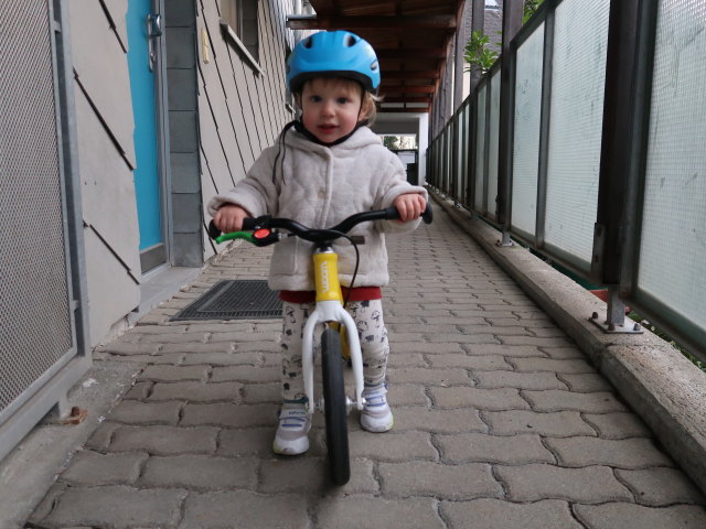 Nils in der Wohnhausanlage Süßenbrunner Platz 12 (26. März)