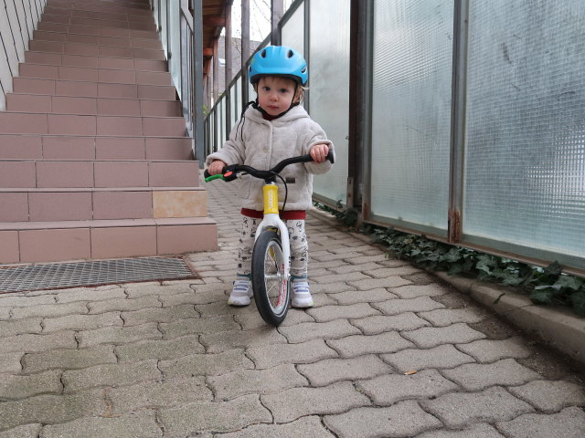 Nils in der Wohnhausanlage Süßenbrunner Platz 12 (26. März)