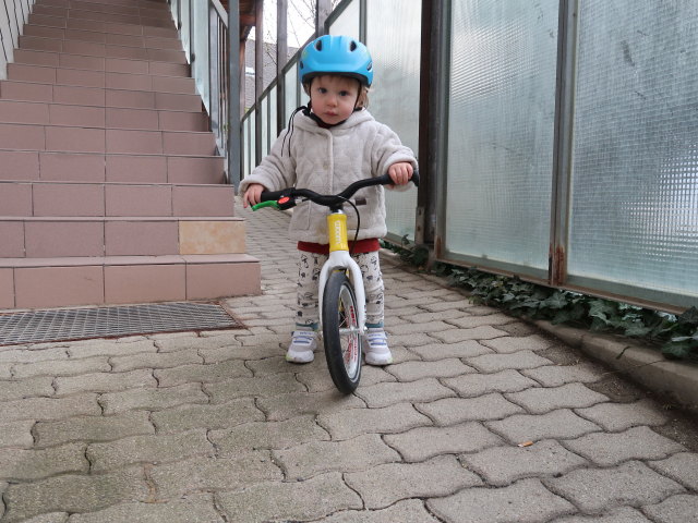 Nils in der Wohnhausanlage Süßenbrunner Platz 12 (26. März)