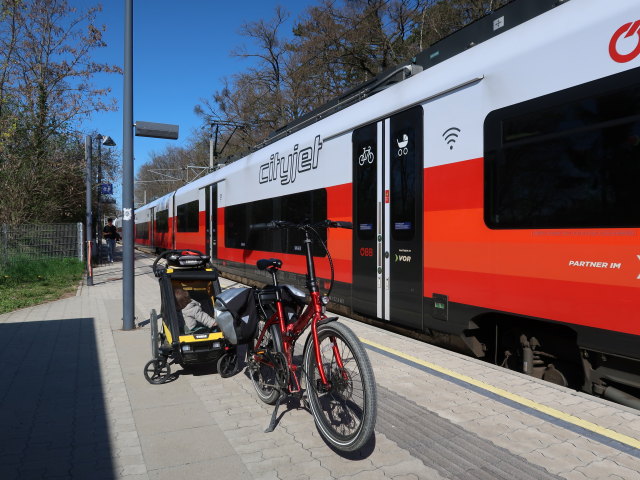 Nils im Bahnhof Niederkreuzstetten, 241 m