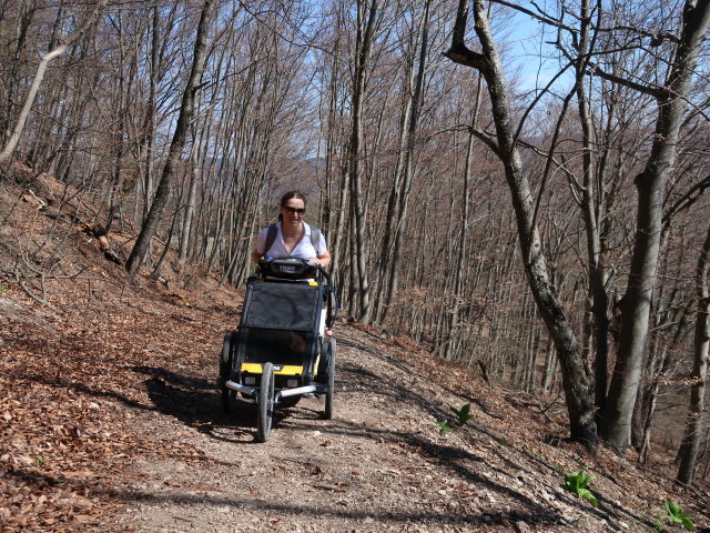 Sabine zwischen Dianawiese und Köhlerhausruine