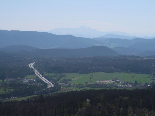 Schneeberg von der Köhlerhausruine aus