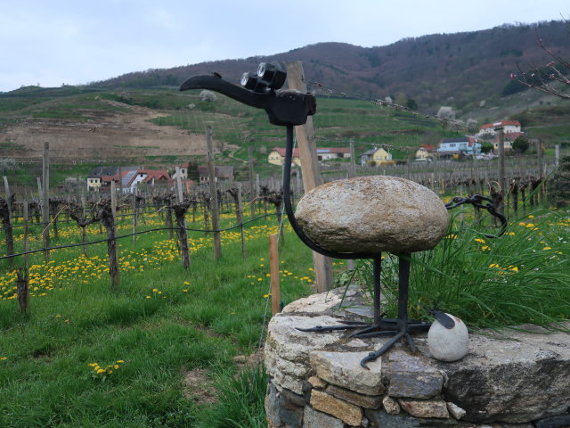 zwischen Spitz an der Donau und Rotem Tor