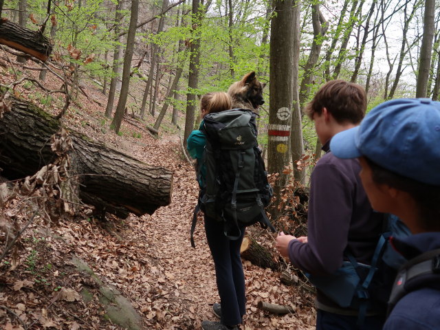 Katja Lin, Tim und Sonja am Welterbesteig zwischen Mieslingtal und St. Michael