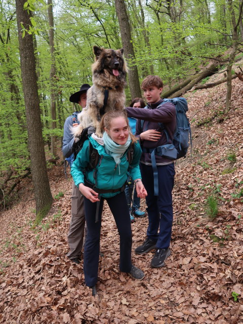Stefan, Katja Lin, Kerstin und Tim am Welterbesteig zwischen Mieslingtal und St. Michael