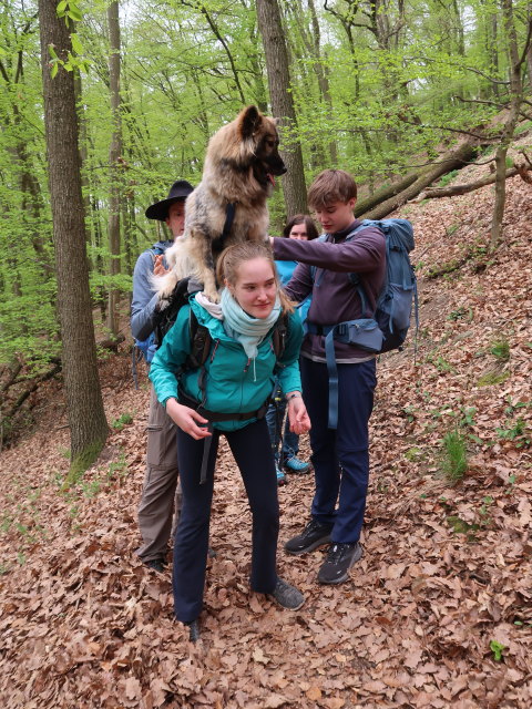 Stefan, Katja Lin, Kerstin und Tim am Welterbesteig zwischen Mieslingtal und St. Michael
