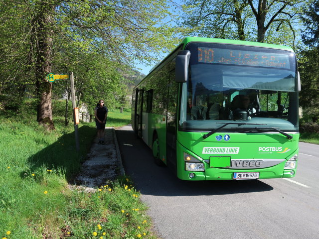 Ronald in der Haltestelle Buchau bei Admont Leitner