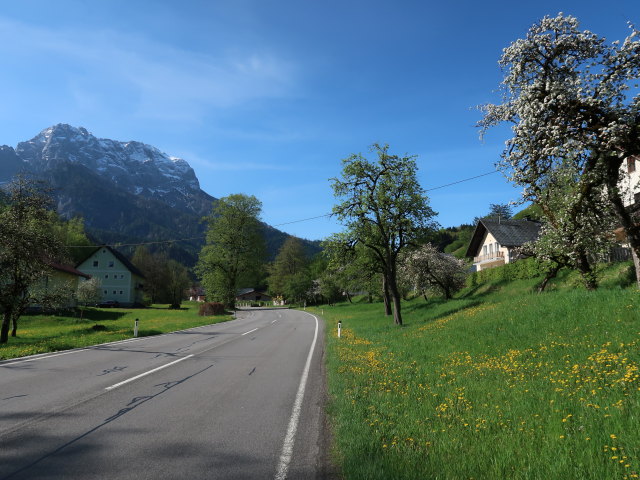 Buchauer Straße in Buchau bei Admont