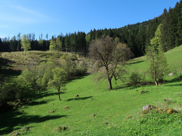 zwischen Pölzau und Seisenalm