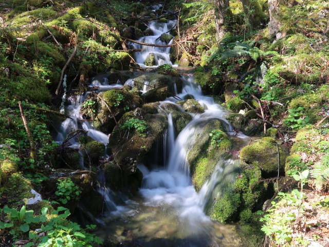 zwischen Pölzau und Seisenalm