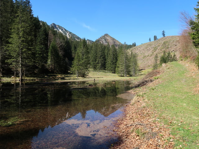 zwischen Pölzau und Seisenalm