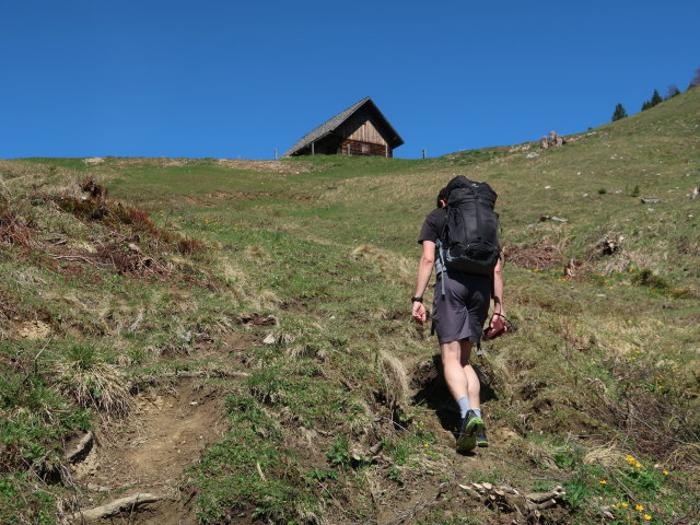 Ronald zwischen Pölzau und Seisenalm