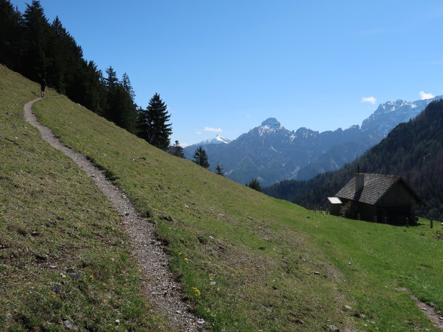 Ronald auf der Seisenalm