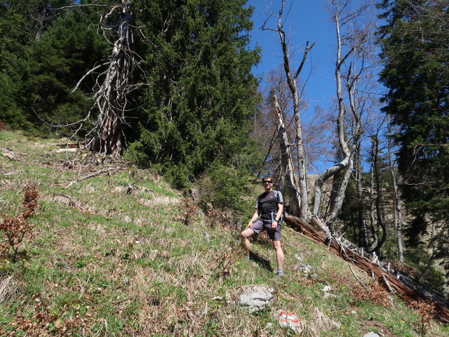 Ronald zwischen Seisenalm und Großem Maiereck