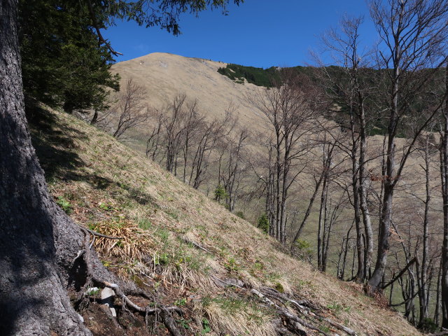 zwischen Seisenalm und Großem Maiereck