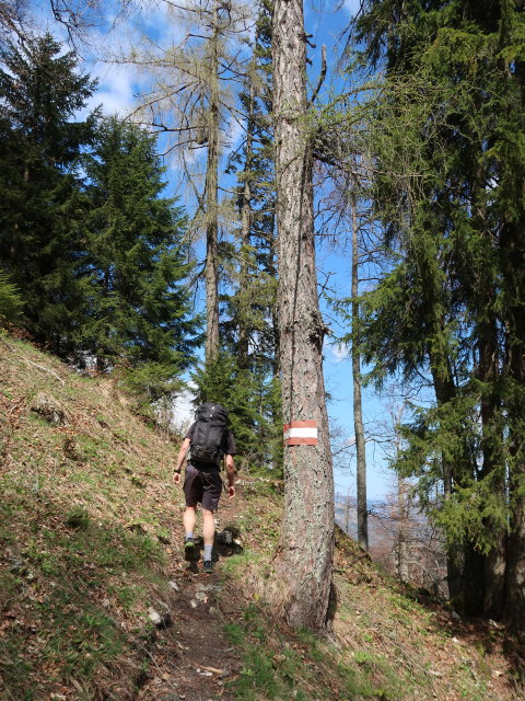 Ronald zwischen Großem Maiereck und Sauboden