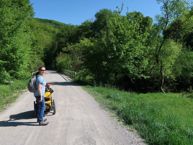 Sabine im Dambachtal, 264 m