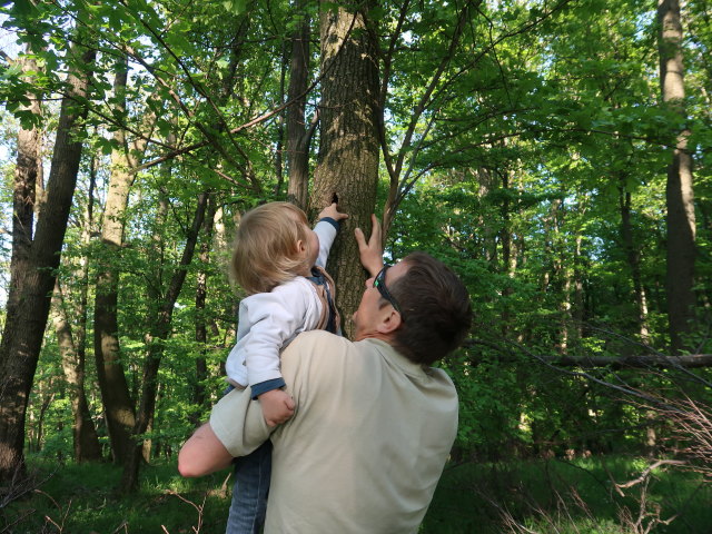 Nils und ich am Feuersteinberg, 507 m