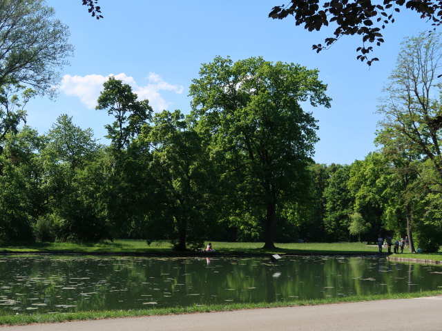 Schlosspark: Goldfischteich
