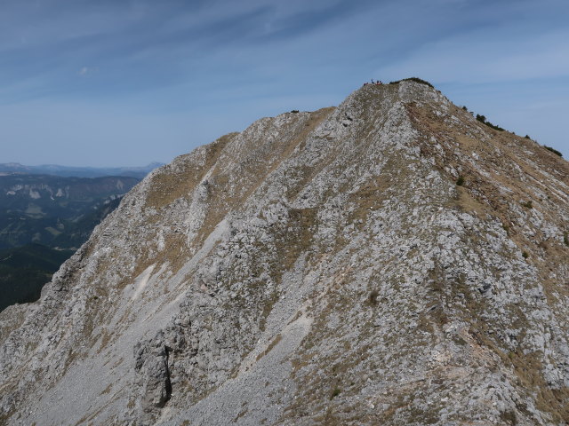 zwischen Großem Wildkamm und Gingatzwiese