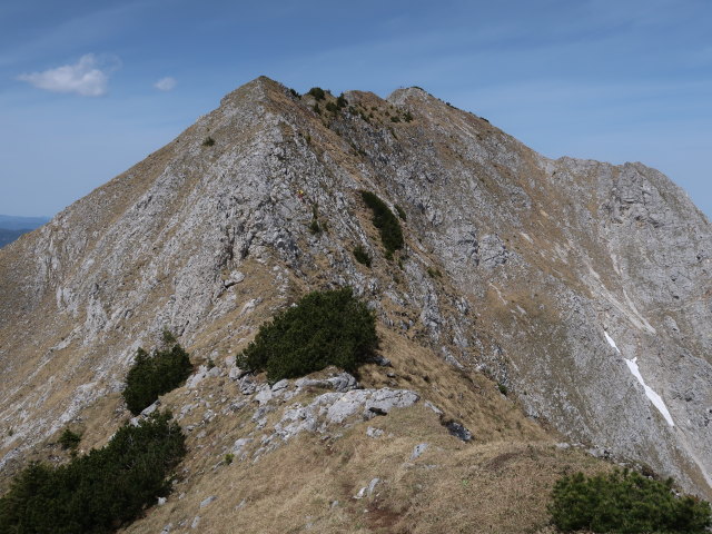 zwischen Großem Wildkamm und Gingatzwiese