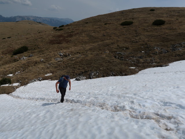 Mario zwischen Gingatzwiese und Hoher Veitsch