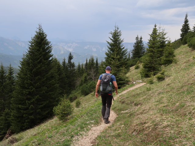 Mario zwischen Gingatzwiese und Sohlenalm