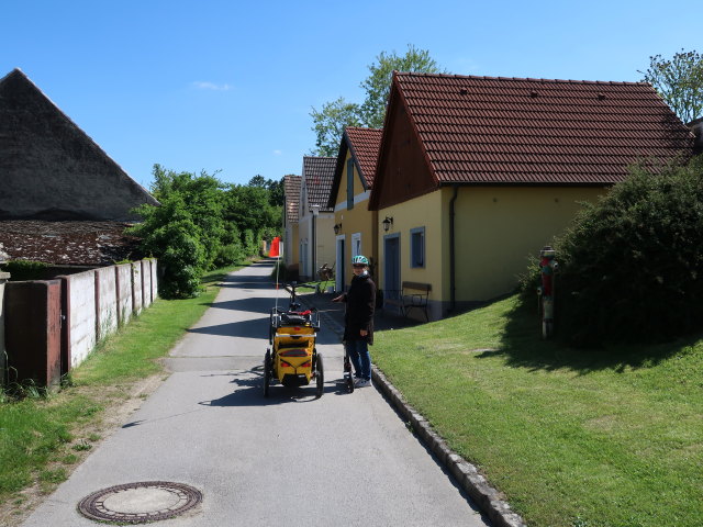 Sabine in Wolfpassing an der Hochleiten