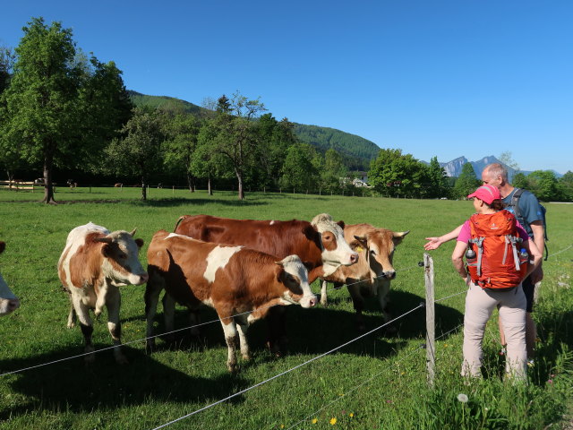Melanie und Frank zwischen Riedlbach und Oberaschau