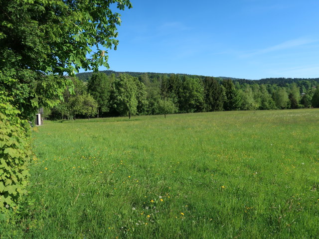 zwischen Oberaschau und Schöffbaumer-Kapelle